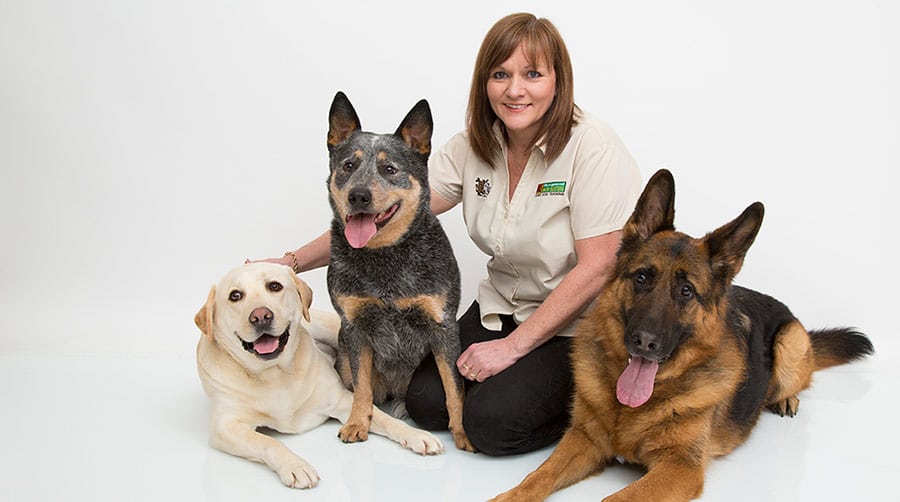 How To An Animal Psychologist Cost, Requirements, Schools